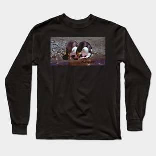 Royal Penguins Collecting Pebbles For Their Nest Long Sleeve T-Shirt